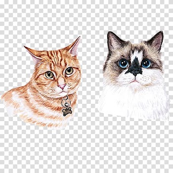 Munchkin cat Kitten Watercolor painting, Hand painted watercolor cute cat transparent background PNG clipart