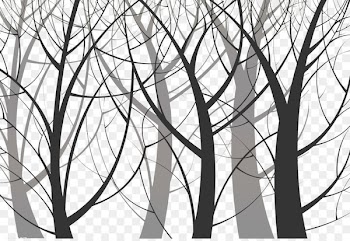 Mural Tree Silhouette Wallpaper - Ghost forest 