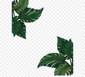 Musa basjoo Banana leaf Euclidean vector - Green banana leaf frame 