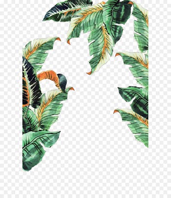 Musa basjoo Leaf Banana - Hand-painted banana leaves 