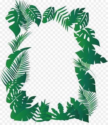 Musa basjoo Leaf Ferme Exotique - Banana borders vector 