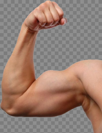 Muscle Arm Transparent Image