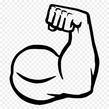Muscle arms Muscle arms Biceps Clip art - muscles 