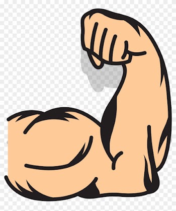 Muscle Arms Muscle Arms Clip Art - Cartoon Muscle Arm