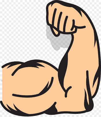 Muscle arms Muscle arms Clip art - strong arms 