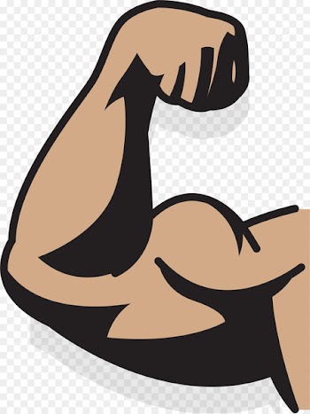 Muscle Drawing Augu0161delms Arm - A strong upper arm 