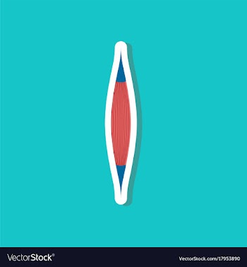 Muscle paper sticker on stylish background vector image