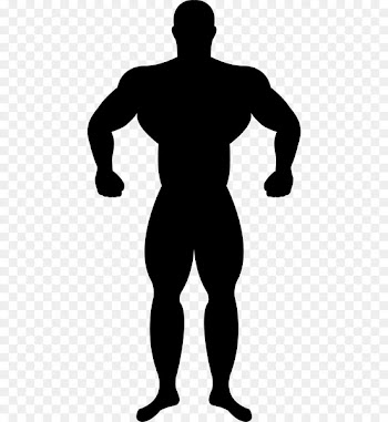 Muscle Silhouette Bodybuilding - Silhouette 