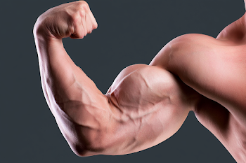 Muscular Arm Flexing