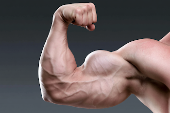 Muscular Arm Flexing Bicep in Studio Lighting
