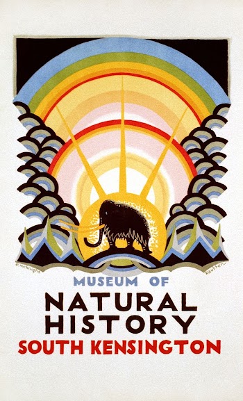 Museum of Natural History, South | Free Photo Illustration - rawpixel