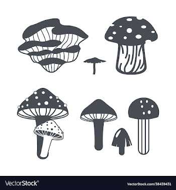 mushroom