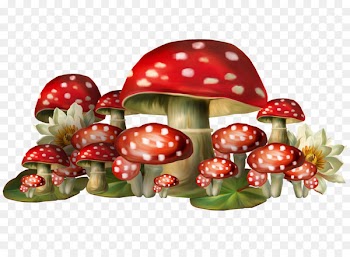 Mushroom Amanita muscaria Clip art - Red mushroom 
