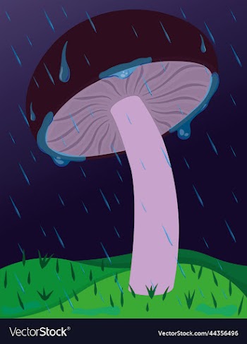 mushroom at rainy night among the hills