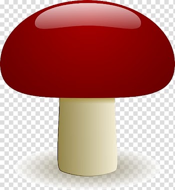 Mushroom , Autumn Deep Forest transparent background PNG clipart