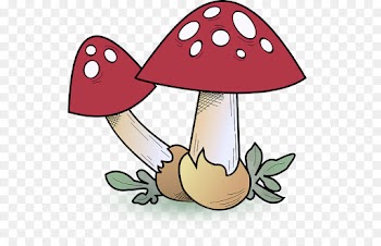 mushroom cartoon clip art agaric fungus