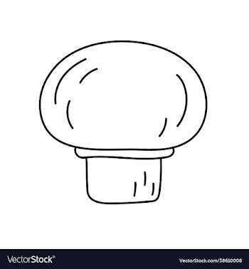 mushroom champignon vegetable sketch thin simple