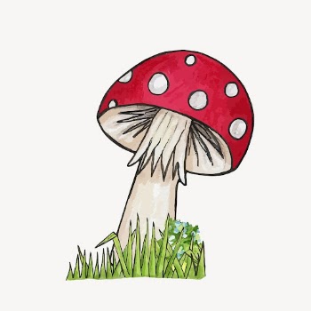 Mushroom clipart, botanical illustration vector. | Free Vector - rawpixel