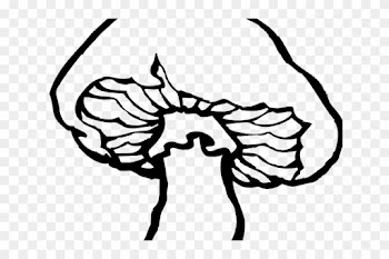 Mushroom Clipart Line Drawing - I'm A Fungi &amp; People Lichen Me Pillow Case