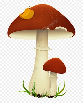 Mushroom cloud Clip art Transparency Image - mushroom 
