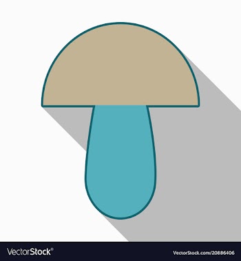 Mushroom different mushroom mushroom vector image