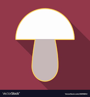 Mushroom different mushroom mushroom vector image