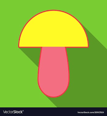 Mushroom different mushroom mushroom vector image