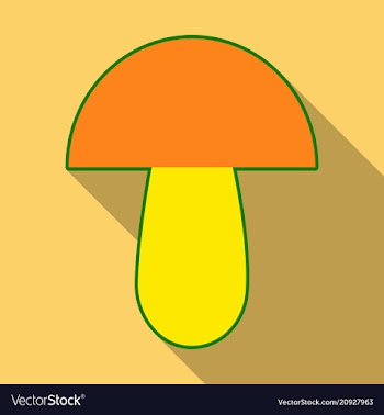 Mushroom different mushroom mushroom vector image