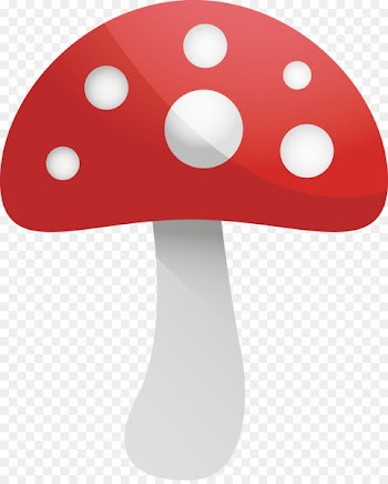 Mushroom Euclidean vector - Cartoon cute spotted mushrooms 
