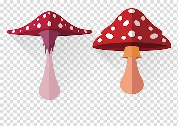 Mushroom Fall Euclidean , Cartoon Mushrooms transparent background PNG clipart