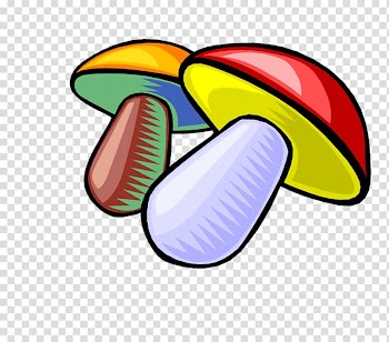 Mushroom Fungus , Color cartoon mushrooms transparent background PNG clipart