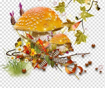 Mushroom Fungus Vegetarian cuisine , mushroom transparent background PNG clipart