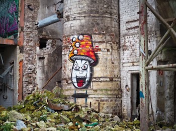 Mushroom Graffiti on Concrete Building during Daytime