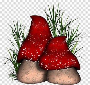 Mushroom , Large mushroom colorful buckle-free material transparent background PNG clipart