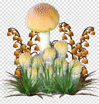 Mushroom Leaf Vegetal Autumn Feuille morte, mushroom transparent background PNG clipart