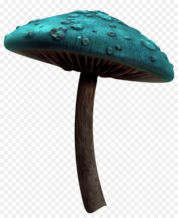 Mushroom - Mushroom fairy tale 