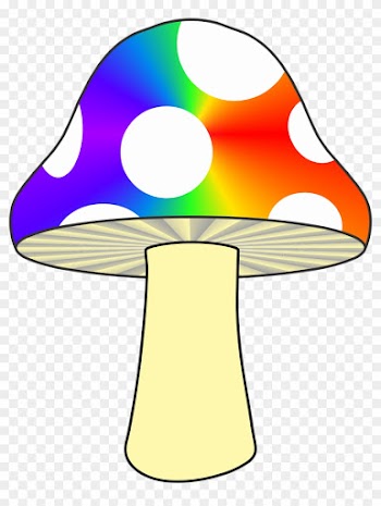 Mushroom,nature,colorful ,fungus,woods - Mushroom Rainbow