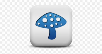 Mushroom Photos Icon Image - Food