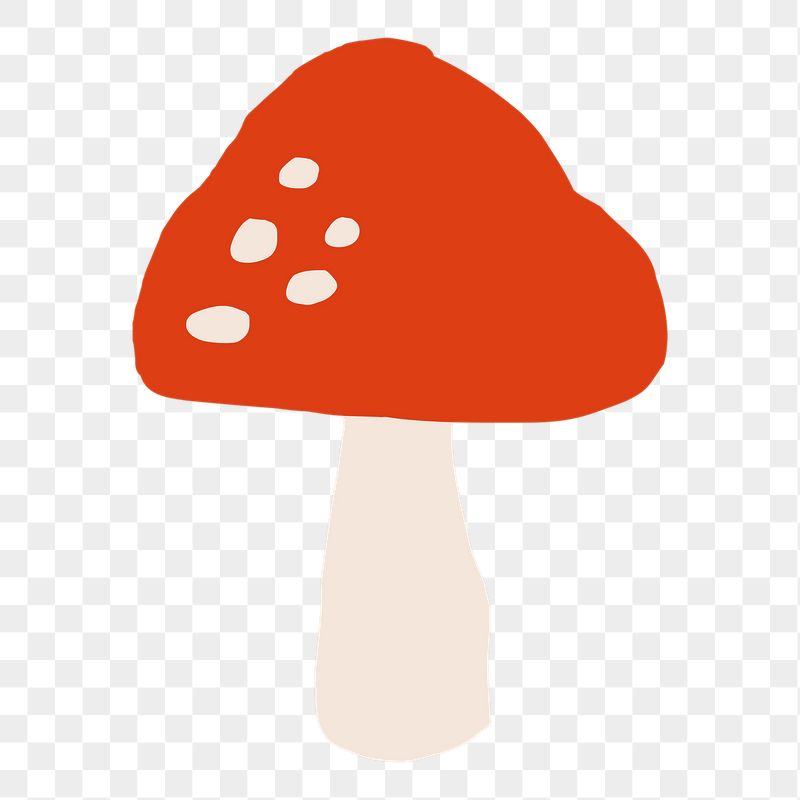 Mushroom png sticker, plant doodle, | Free PNG Illustration - rawpixel