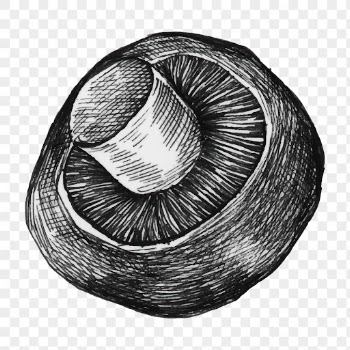 Mushroom sketch png sticker on transparent | Free PNG - rawpixel