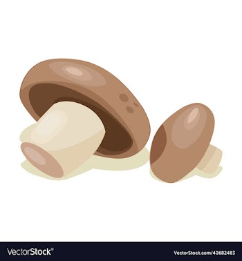 mushroom vegetable