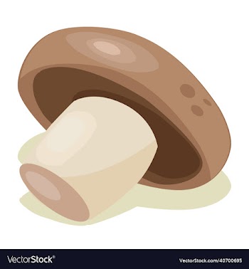 mushroom vegetable