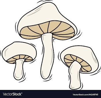mushroom0001