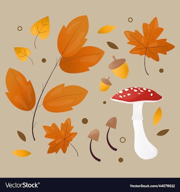 mushrooms acorns and seeding leaves forest
