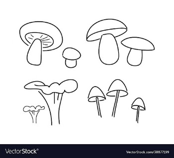 mushrooms autumn sketch thin lines on white