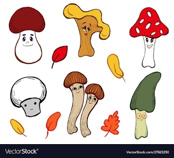 Mushrooms cartoon characters vector image