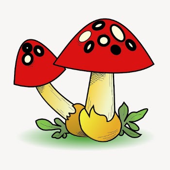 Mushrooms collage element, nature illustration | Free PSD - rawpixel