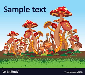 Mushrooms vector image