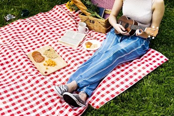 Music On A Summer Day Picnic