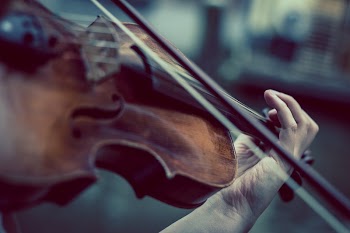 Musician playing the violin. Free | Free Photo - rawpixel